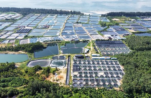 我司中標(biāo)陽江市陽西縣海水養(yǎng)殖尾水治理示范項目的設(shè)計服務(wù)